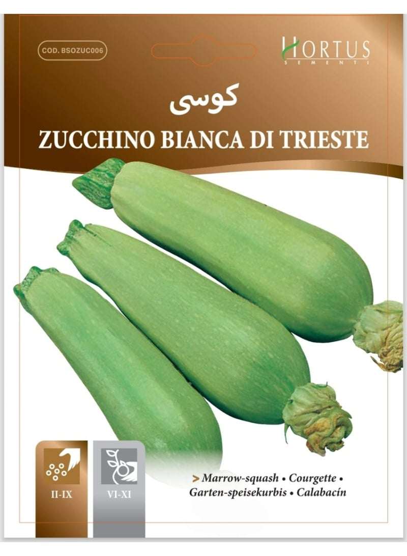 Trieste White COURGETTE Seeds